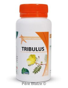 Tribulus – 90 gélules – MGD