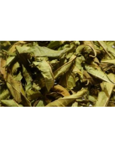 Verveine odorante - 50 g - PÈRE BLAIZE