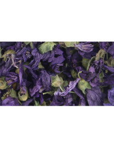 Violette - fleur - 25 g - PÈRE BLAIZE
