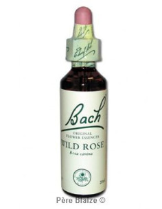 Wild rose - 20 ml - FLEURS DE BACH ORIGINAL - NELSONS
