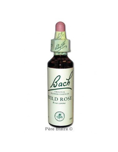 Wild rose - 20 ml - FLEURS DE BACH ORIGINAL - NELSONS