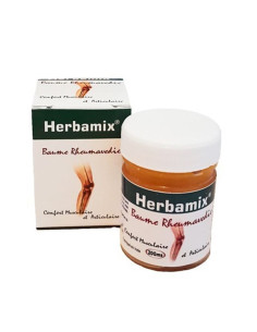 Baume Rheumavedic - 20 g - HERBAMIX