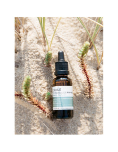 L'huile de graines de Pin maritime - Huile visage restructurante et anti-âge - 15 ml - OCEOPIN