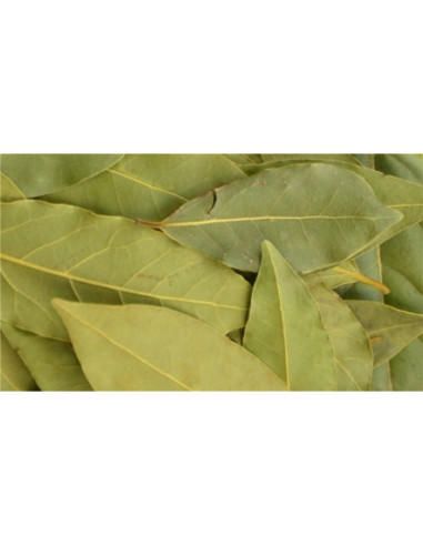Laurier BIO - feuille - sachet de 20 g - PÈRE BLAIZE