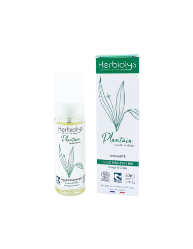 Macérat huileux Plantain - 30 ml - HERBIOLYS