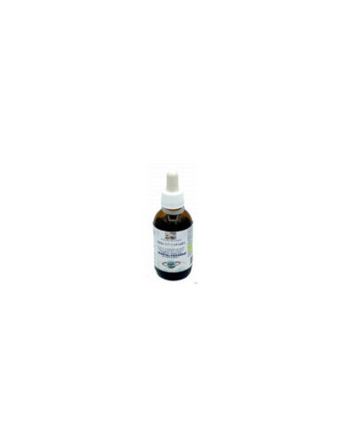 Merlin faparin - 50 ml - VEGETAL-PROGRESS