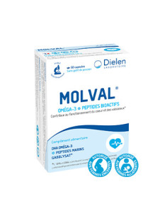 Molval – 120 capsules – DIELEN