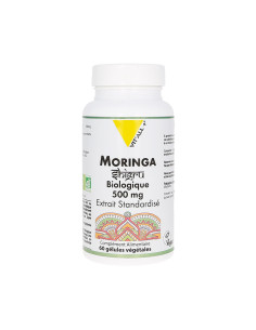 Moringa bio 500 mg – 60 gélules végétales – VIT'ALL+