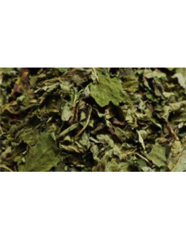 Mélisse - feuille - 50 g - PÈRE BLAIZE