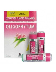 Oligophytum iod fucus - 300 micro comprimés (env) - HOLISTICA