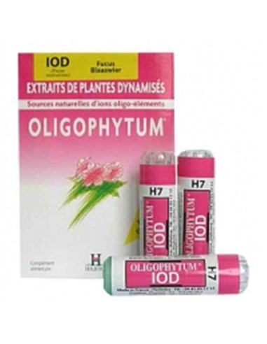 Oligophytum iod fucus - 300 micro comprimés (env) - HOLISTICA