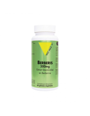 Berberis 500 mg extrait standardisé en berbérine – 60 gélules – VIT'ALL+