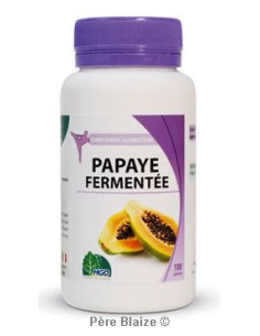 Papaye fermentée jus (fruit, Carica papaya) – 100 gélules – MGD (référence archivée)