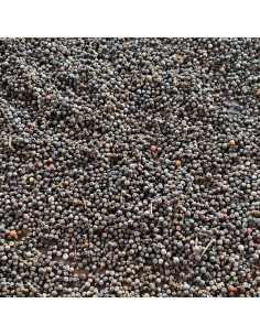 Poivre noir de Kampot - 50 g - PÈRE BLAIZE