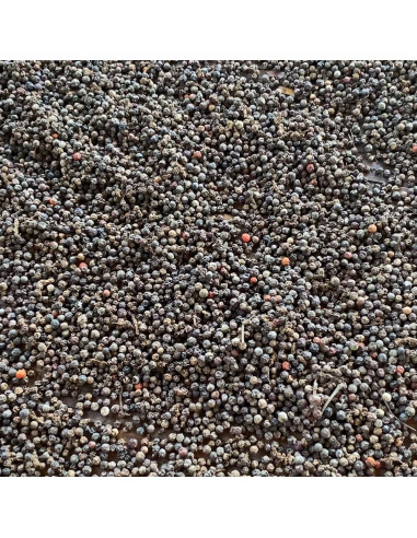 Poivre noir de Kampot - 50 g - PÈRE BLAIZE