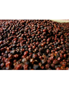 Poivre rouge de Kampot - 50 g - PÈRE BLAIZE
