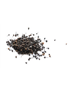 Poivre sauvage de Madagascar - 50 g - PÈRE BLAIZE