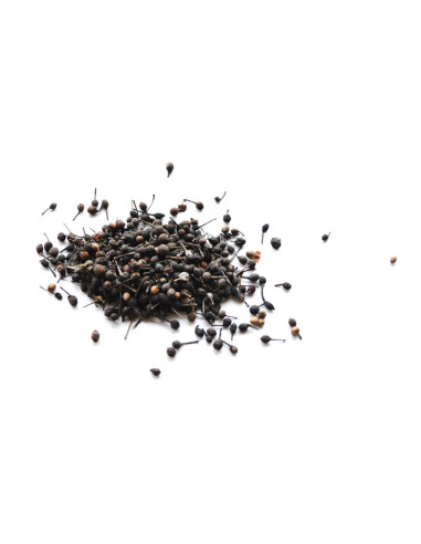 Poivre sauvage de Madagascar - 50 g - PÈRE BLAIZE
