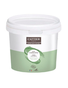 Pâte d'argile en pot - 1,350 kg - CATTIER
