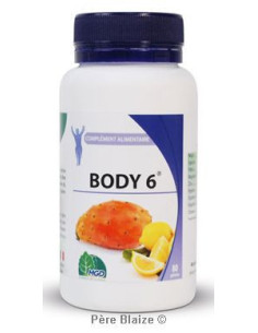 Body6 – 80 gélules – MGD