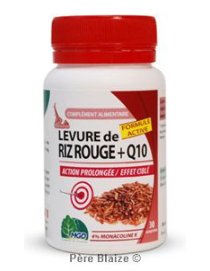 Riz rouge (levure, Monascus purpureus) + Q10 – 30 gélules – MGD (référence archivée)