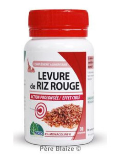 Riz rouge (levure, Monascus purpureus) – 120 gélules – MGD