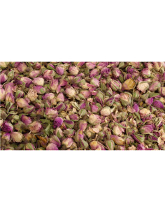 Rose pâle - bouton - 50 g - PÈRE BLAIZE
