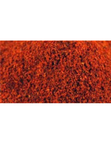 Safran - poudre - 1 g - PÈRE BLAIZE