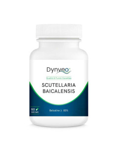 Scutellaria baicalensis (scutellaire) 85% baïcaline 500 mg – 60 gélules – DYNVEO