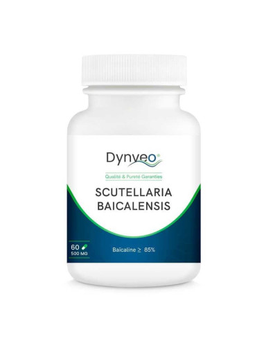 Scutellaria baicalensis (scutellaire) 85% baïcaline 500 mg – 60 gélules – DYNVEO