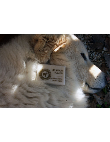 Shampoing solide  - 90 gr  - DUECENTODICIASSETTE
