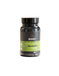 Boostalife, extrait bio de 3 champignons: reishi, chaga et héricium - 60 gélules - SIHO