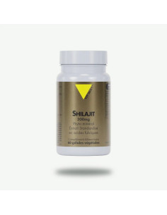 Shilajit extrait standardisé 300 mg – 60 gélules végétales – VIT'ALL+