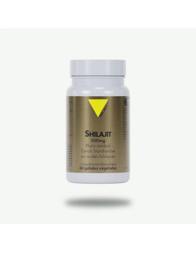Shilajit extrait standardisé 300 mg – 60 gélules végétales – VIT'ALL+