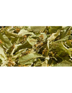 Tilleul de Carpentras - 50 g - PÈRE BLAIZE