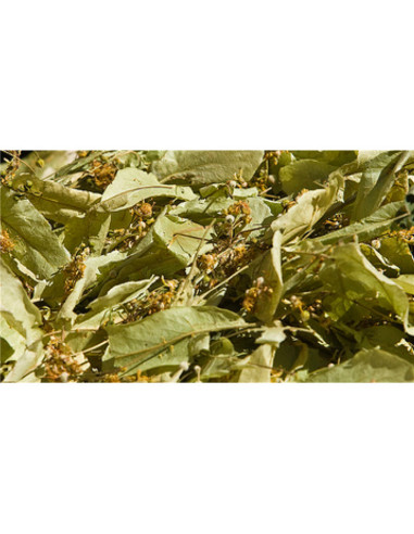 Tilleul de Carpentras - 50 g - PÈRE BLAIZE