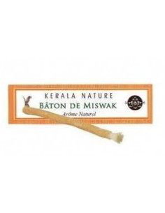 Bâton de Meswak – nature – KERALA NATURE