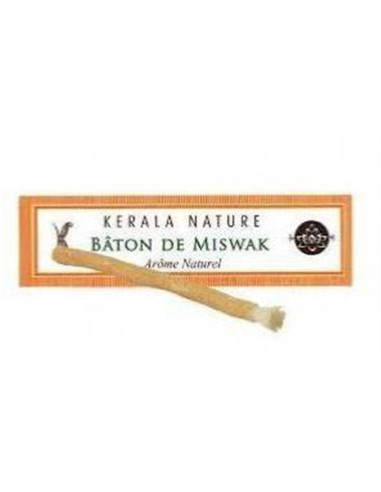 Bâton de Meswak – nature – KERALA NATURE