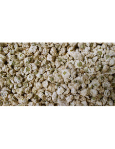 Camomille romaine (grosse tête) - 50 g - PÈRE BLAIZE