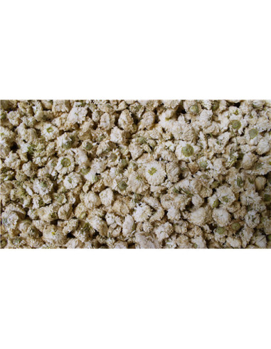 Camomille romaine (grosse tête) - 50 g - PÈRE BLAIZE