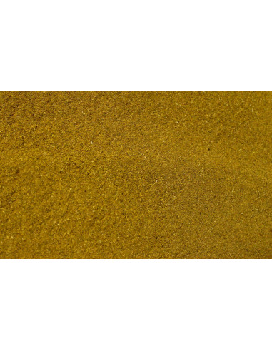 Cannelle - poudre - 50 g - PÈRE BLAIZE