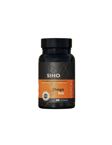Chaga, extrait bio hautement dosé- 60 gélules - SIHO