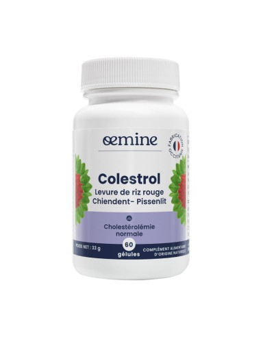 Colestrol – 60 gélules – OEMINE