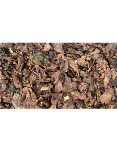 Coquelicot - 50 g - PÈRE BLAIZE