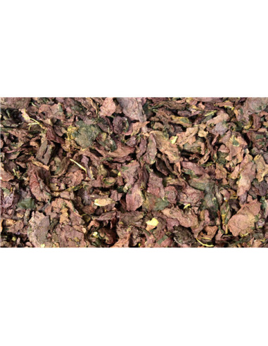 Coquelicot - 50 g - PÈRE BLAIZE
