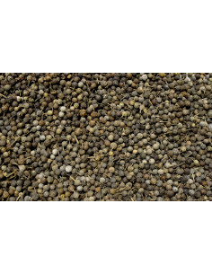 Cubèbe - poivre à queue - 50 g - PÈRE BLAIZE
