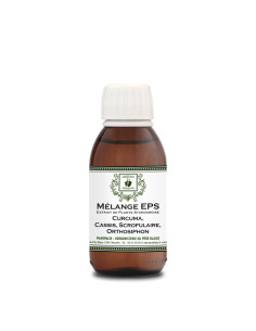 Extrait de plante standardisé (EPS) Curcuma, Cassis, Scrofulaire, Orthosiphon - 150 ml - PÈRE BLAIZE