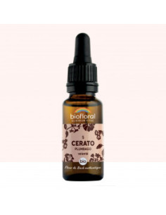FDB 05 Cerato, Plumbago - Compte Gouttes BIO Demeter - 20 ml - BIOFLORAL