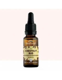 FDB 07 Chestnut Bud, Bourgeons Marronnier - Compte Gouttes BIO Demeter - 20 ml - BIOFLORAL
