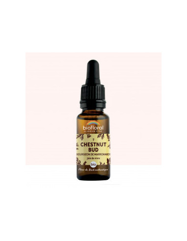FDB 07 Chestnut Bud, Bourgeons Marronnier - Compte Gouttes BIO Demeter - 20 ml - BIOFLORAL